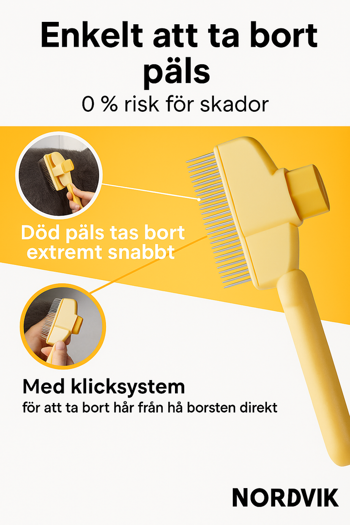 Pälsblixtborsten – Sveriges favorit för husdjur