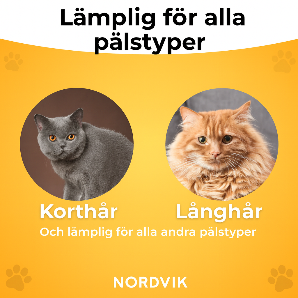 Pälsblixtborsten – Sveriges favorit för husdjur