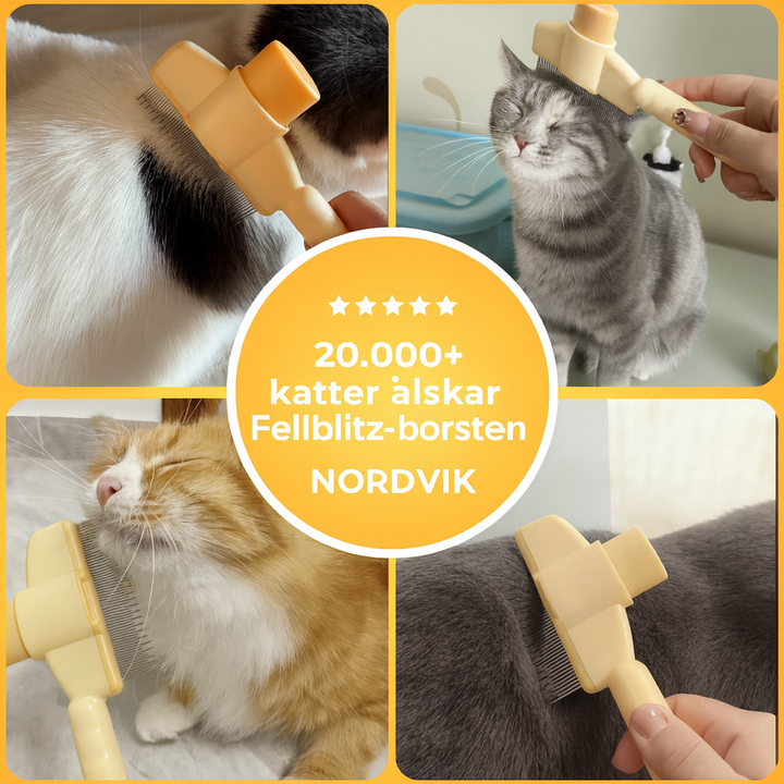 Pälsblixtborsten – Sveriges favorit för husdjur